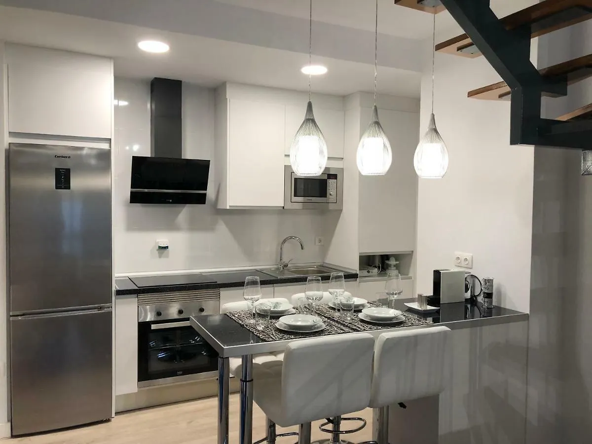 Loft Duplex Malaga Apartment 0*,